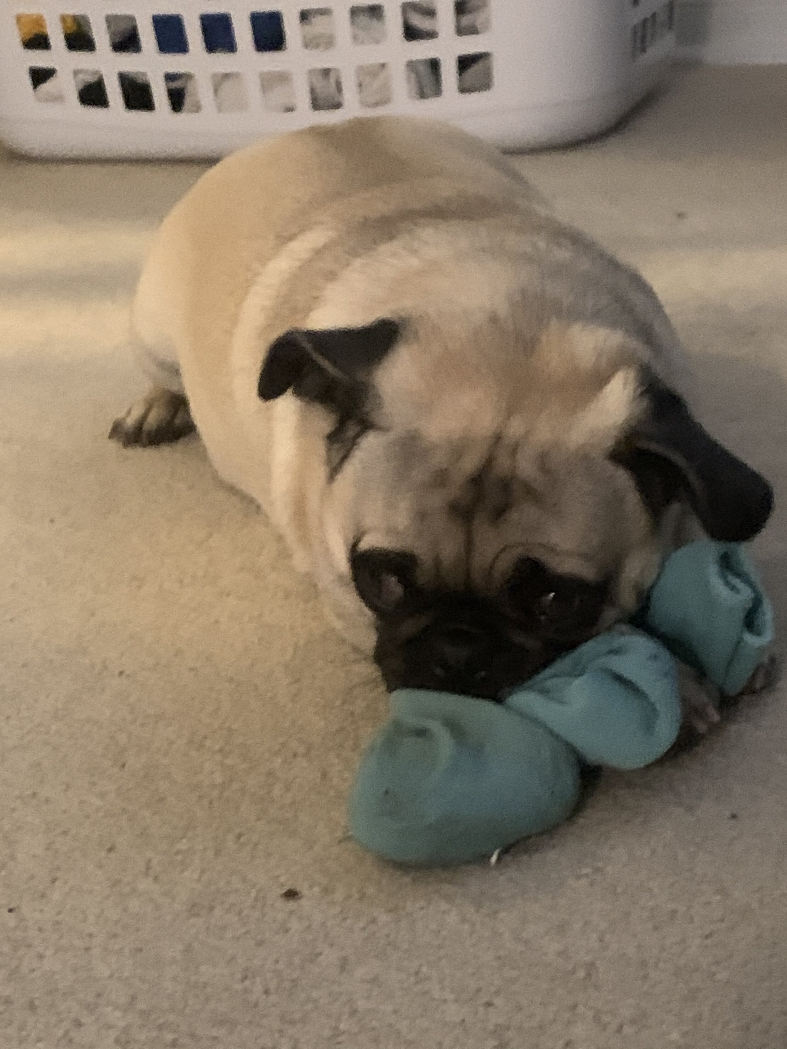 Ella with Sock.jpg