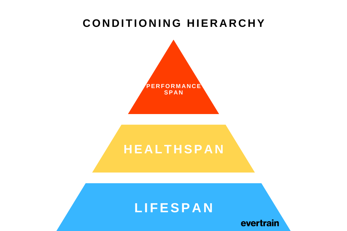 Conditioning Hierarchy.png