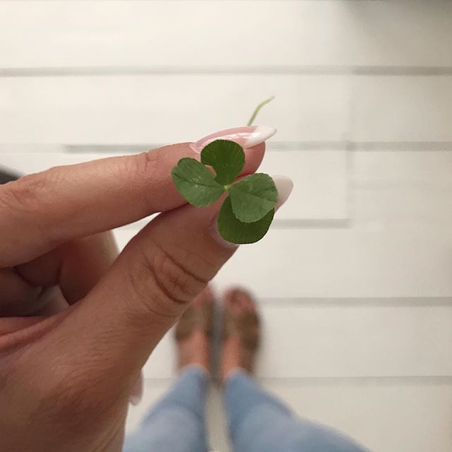 Lucky Rosey 🍀 .
I found another 4 leaf clover on our walk this evening. My second in a month - the first on Billy's 3 month birthday, this one exactly a month later 💙 🙌🏼 x