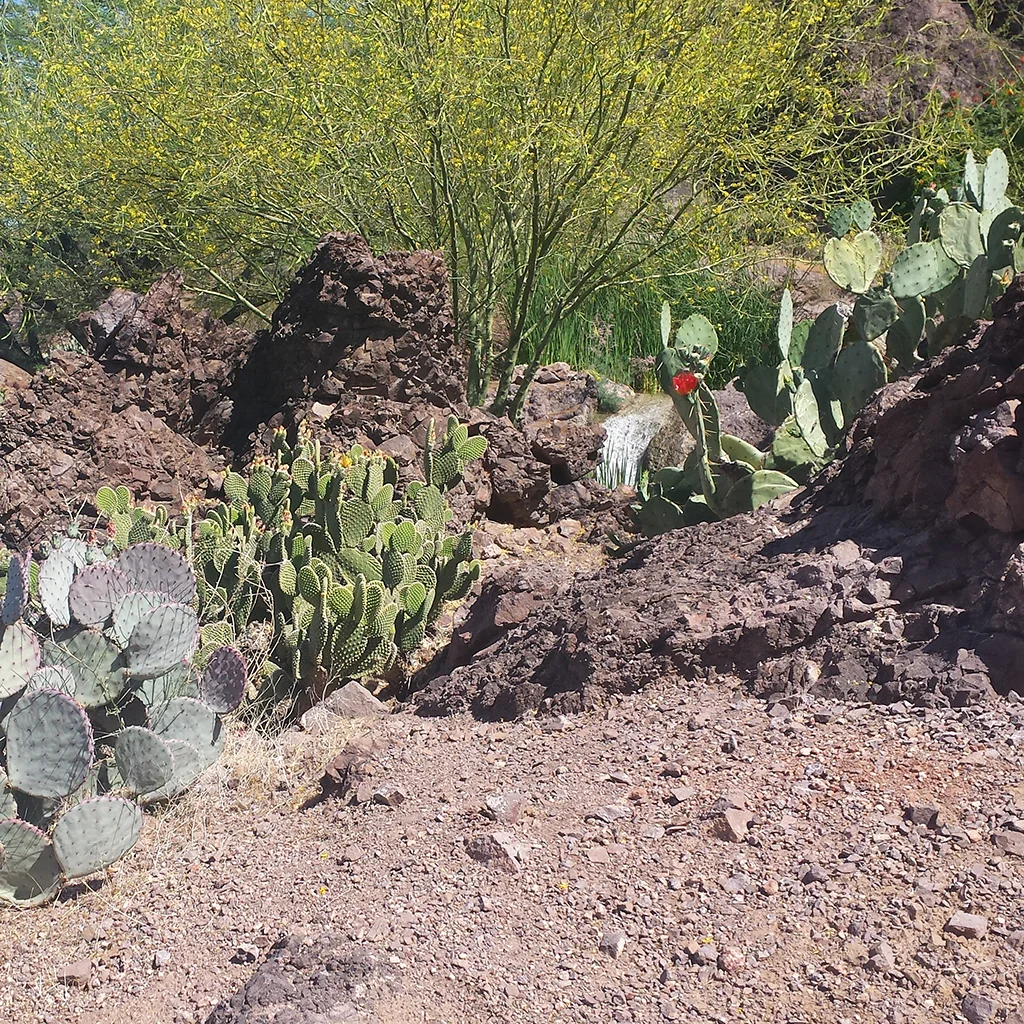 Phoenix Marriott Tempe at The Buttes