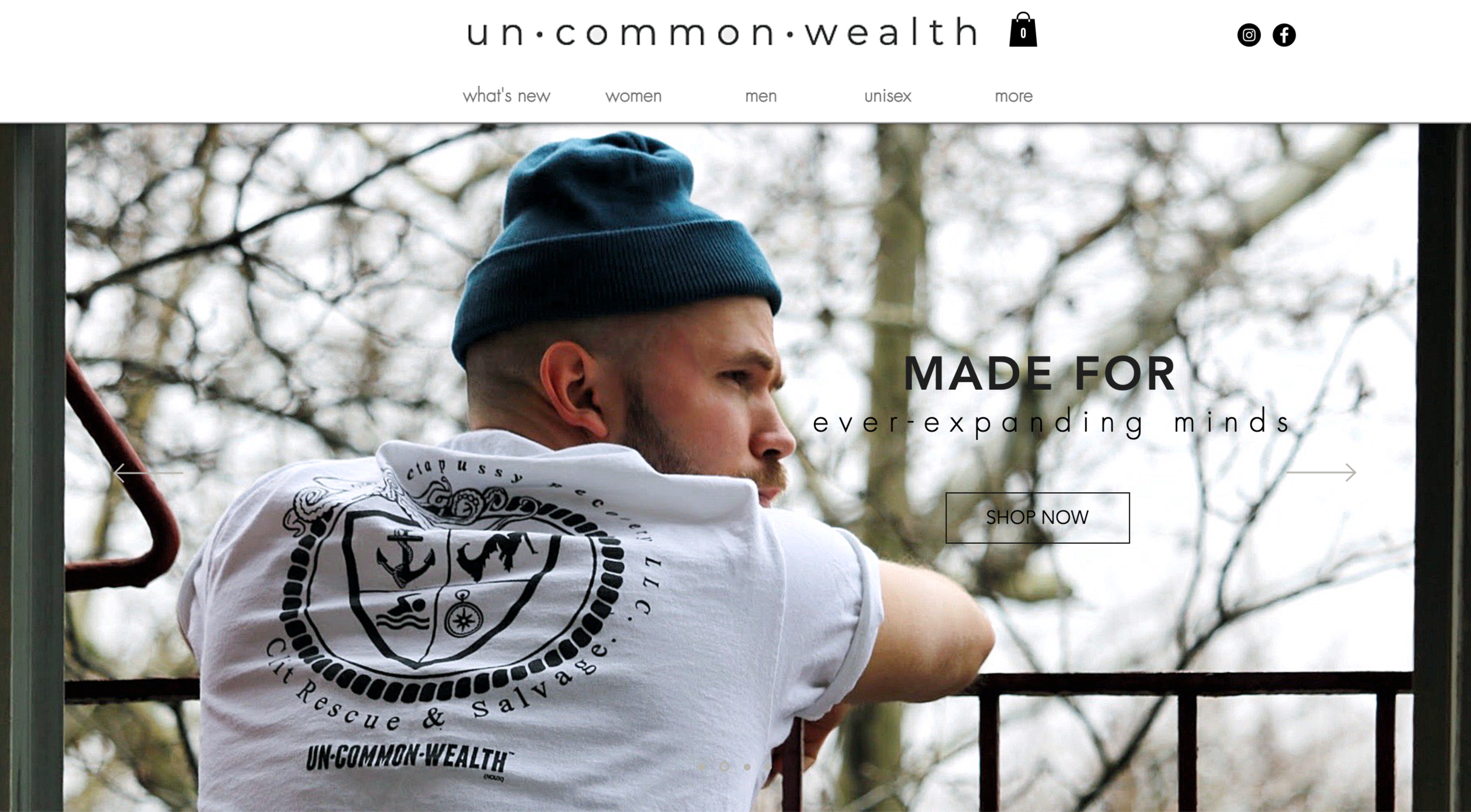 Website Design
