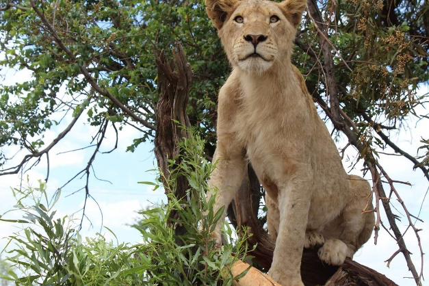 South Africa