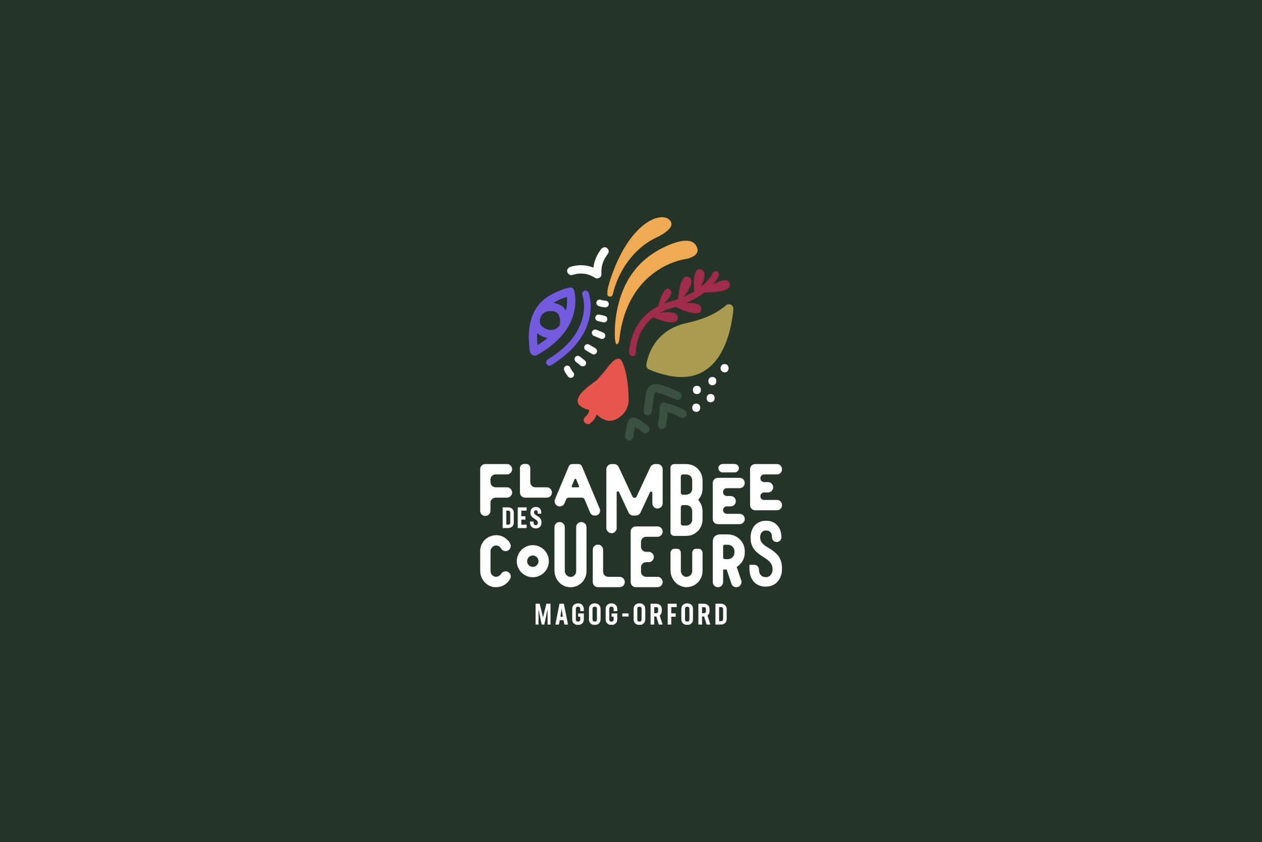 Flambee-des-couleurs_Vignette.jpg