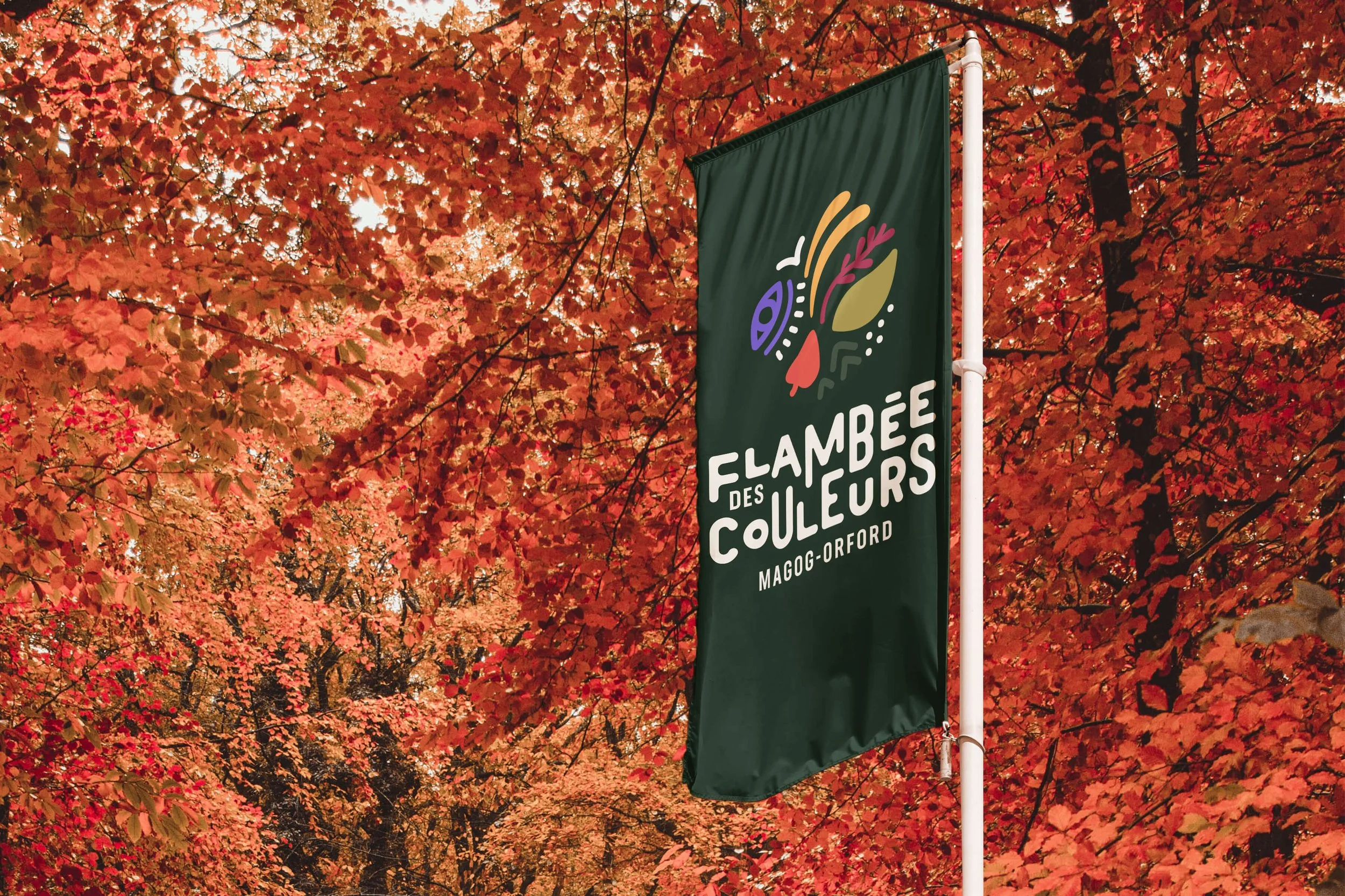 Flambee-des-couleurs_Flag.jpg
