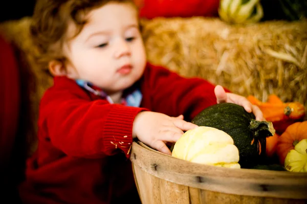 Giovanni visits the Local Pumpkin Patch