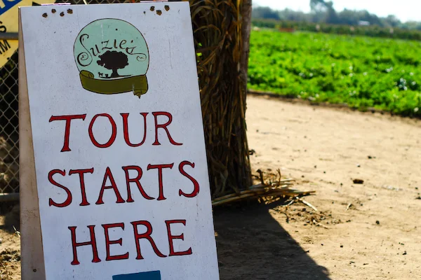 Suzie's Farm