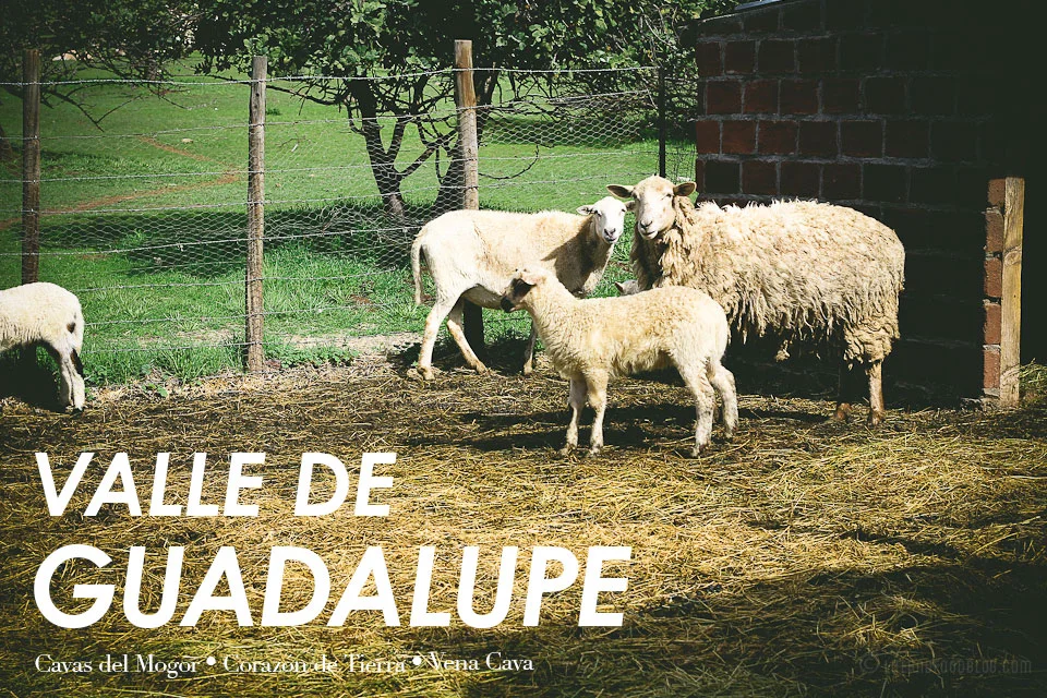 Valle de Guadalupe: Cavas del Mogor and Corazón de Tierra