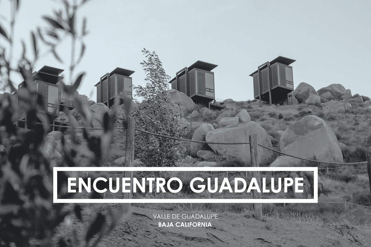 Encuentro Guadalupe