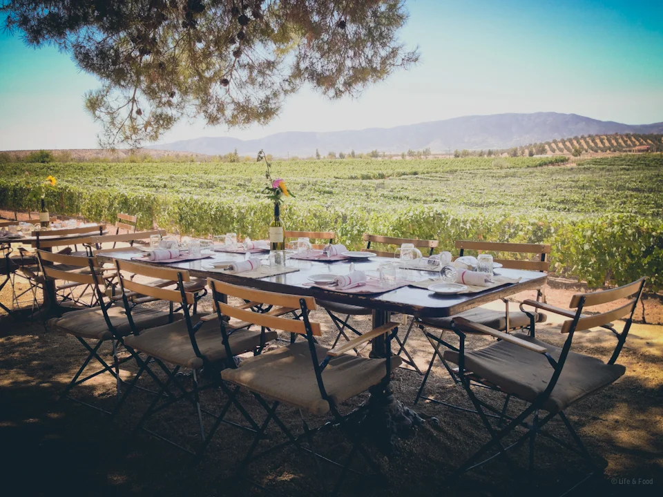 Table to Farm: Deckman's en El Mogor