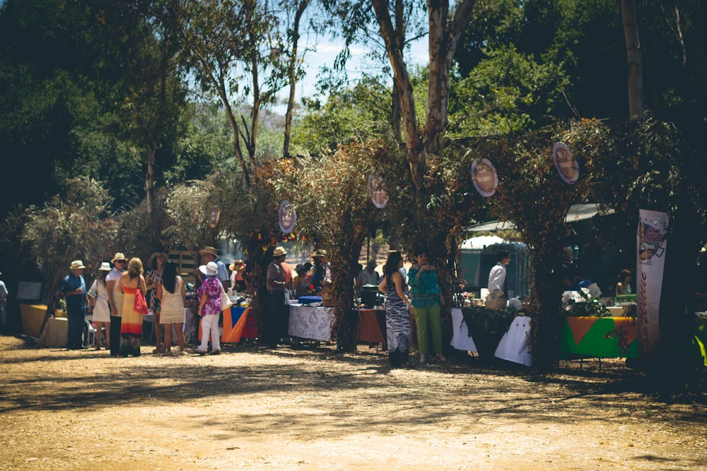 Concurso de Paellas 2013