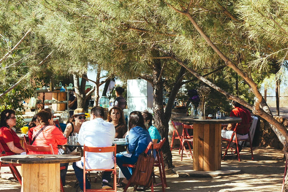 Valle de Guadalupe: El Pinar de 3 Mujeres