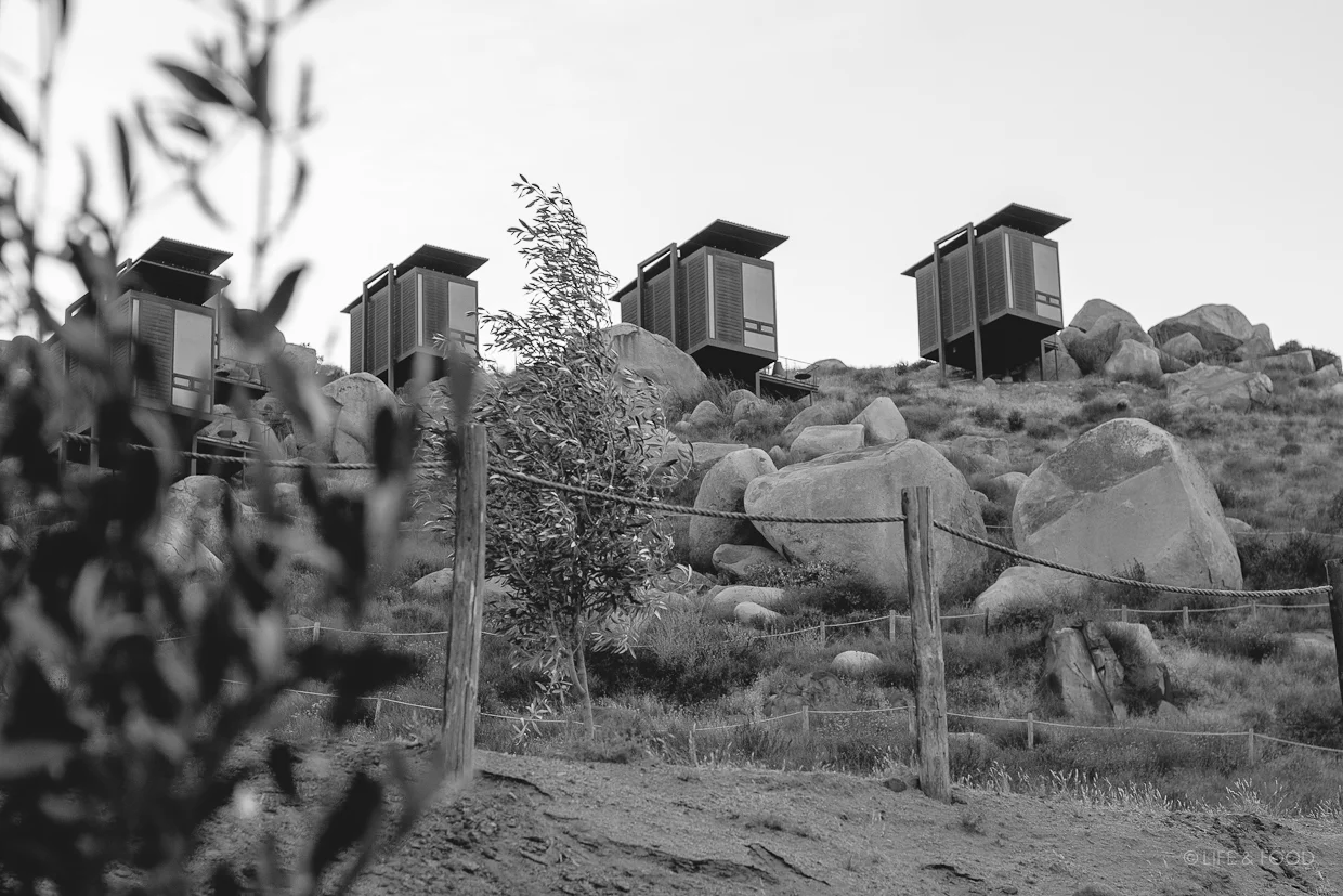 A Guide to Valle de Guadalupe for Nylon En Español!