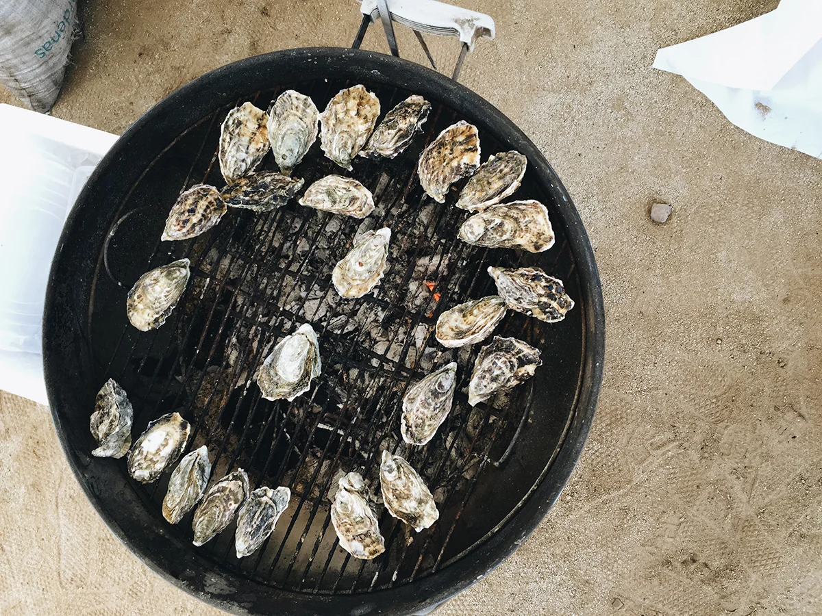 Ensenada: Festival de Las Conchas y Vino Nuevo 2015