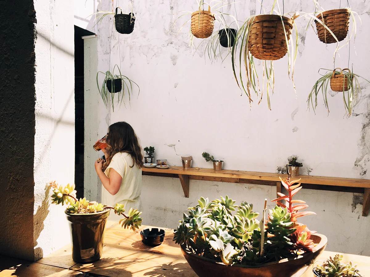 Suculenta — A new neighbor drops-in at Tijuana's new little 'beer city'