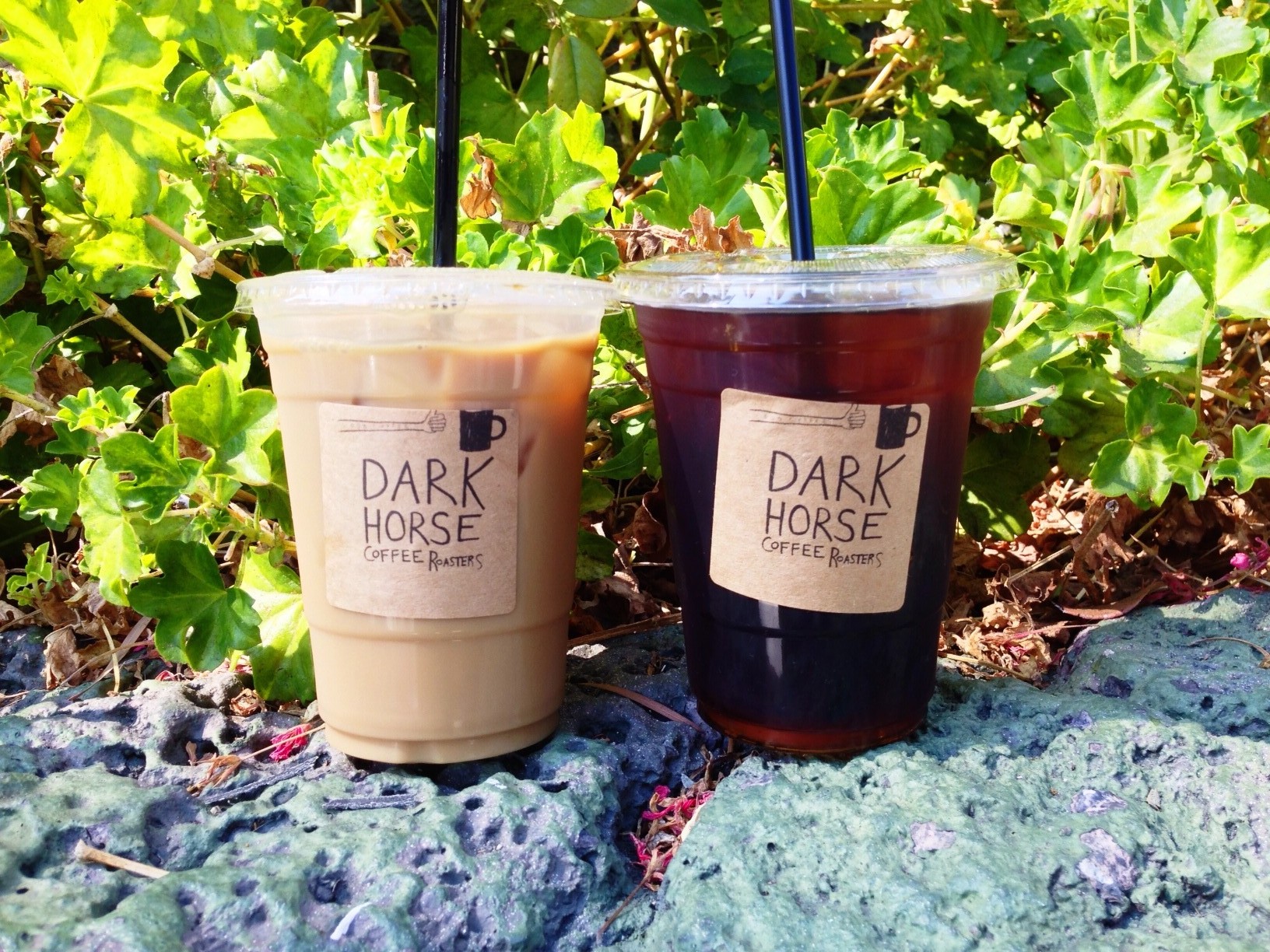 darkhorseroasterscoffee-sandiego-e1380006218824.jpg