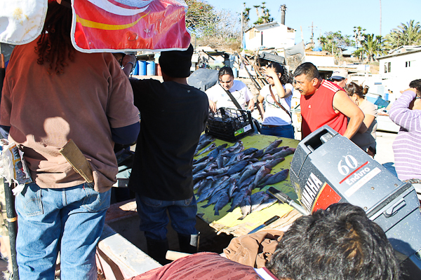 Popotla, Baja California