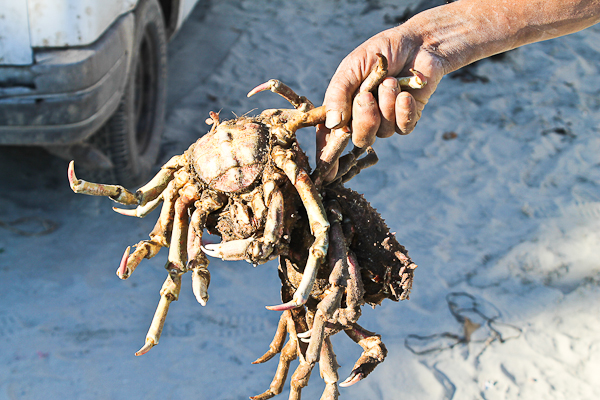 Popotla, Baja California