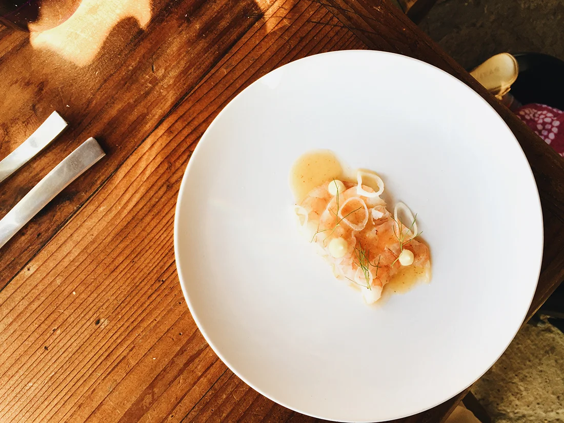 valledeguadalupe-malva-03-©lifeandfood