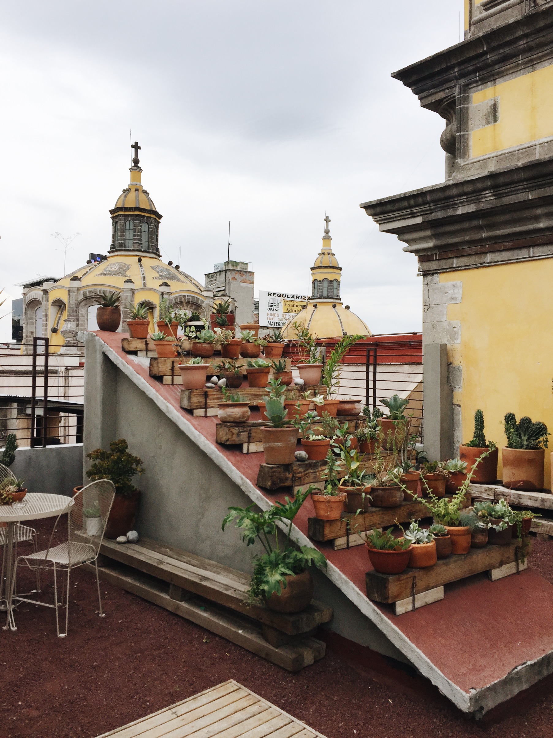 Chaya B&B: A charming oasis in Mexico City's bustling Downtown