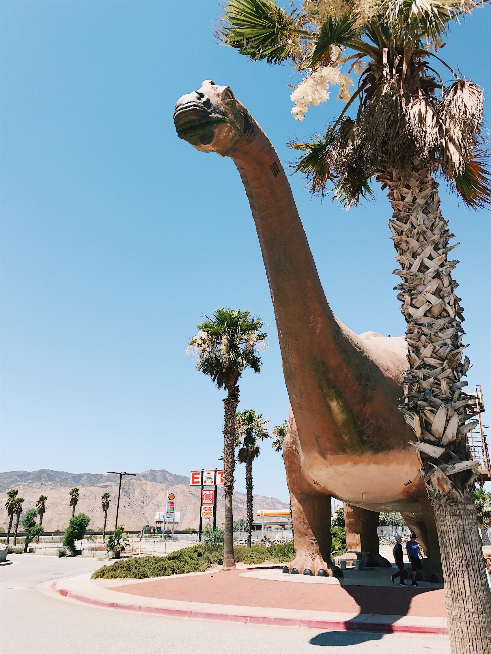 Cabazon Dinosaurs | Cabazon, CA