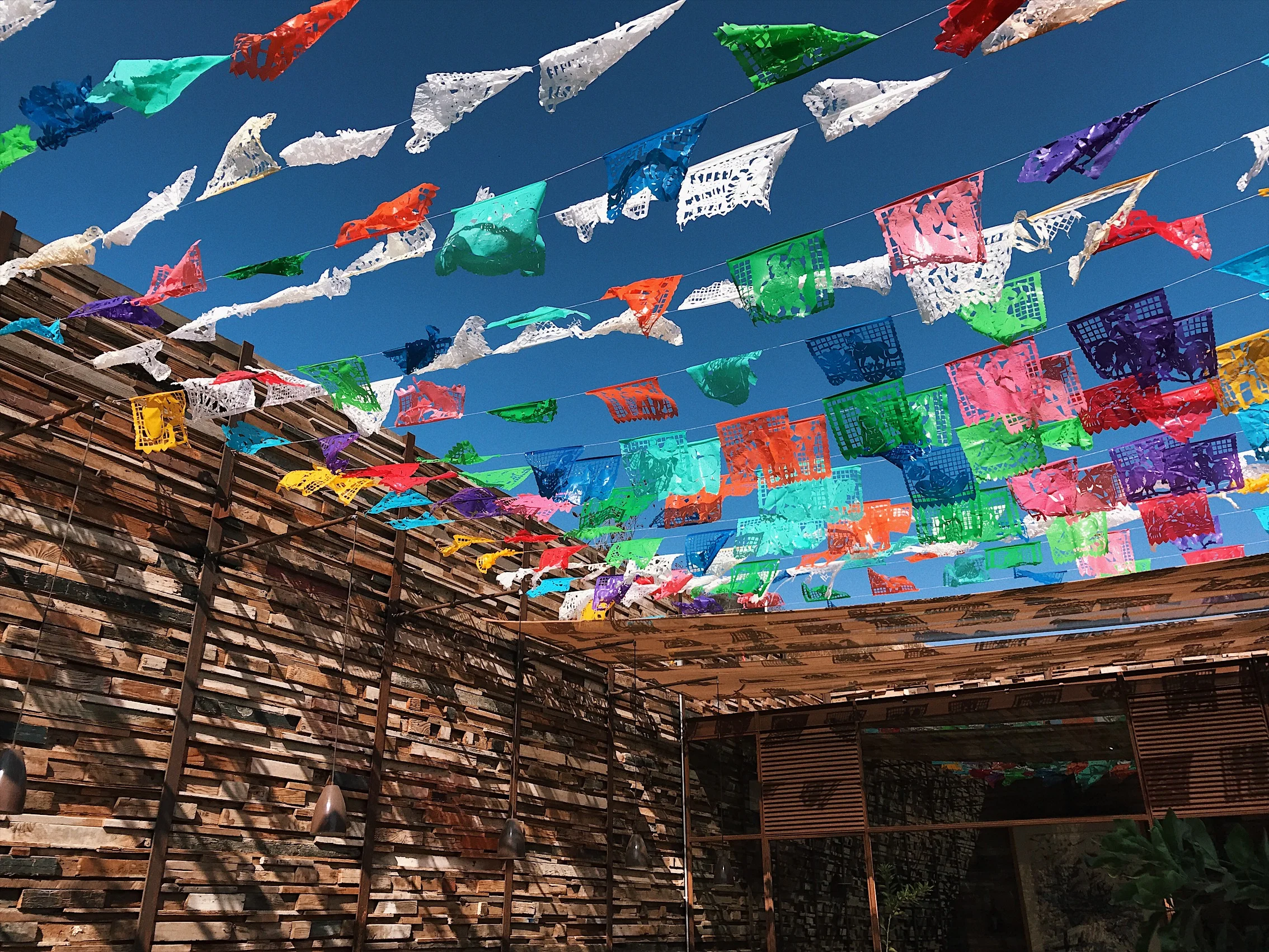 fauna-valledeguadalupe-©lifeandfood-IMG_6254.JPG