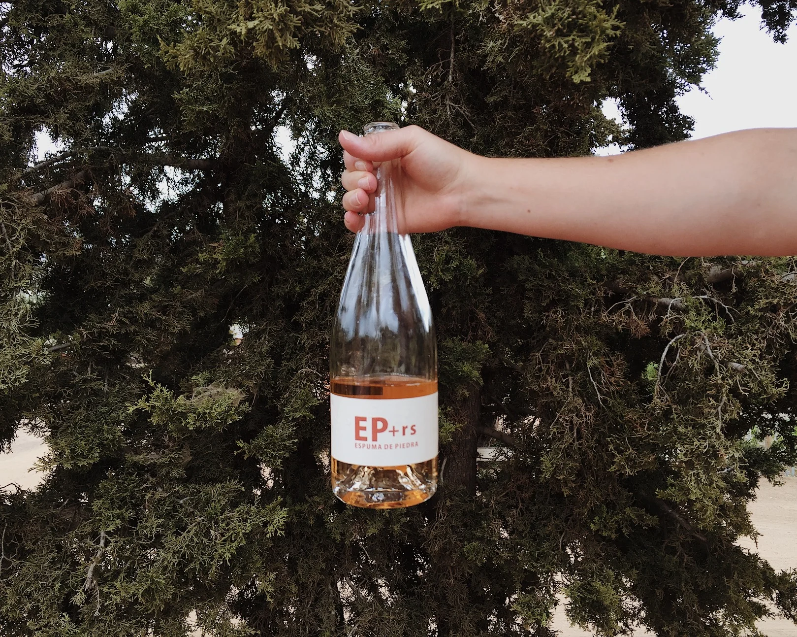 Pop, Fizz, Clink, Slurp: Conchas de Piedra arrives to Valle de Guadalupe 