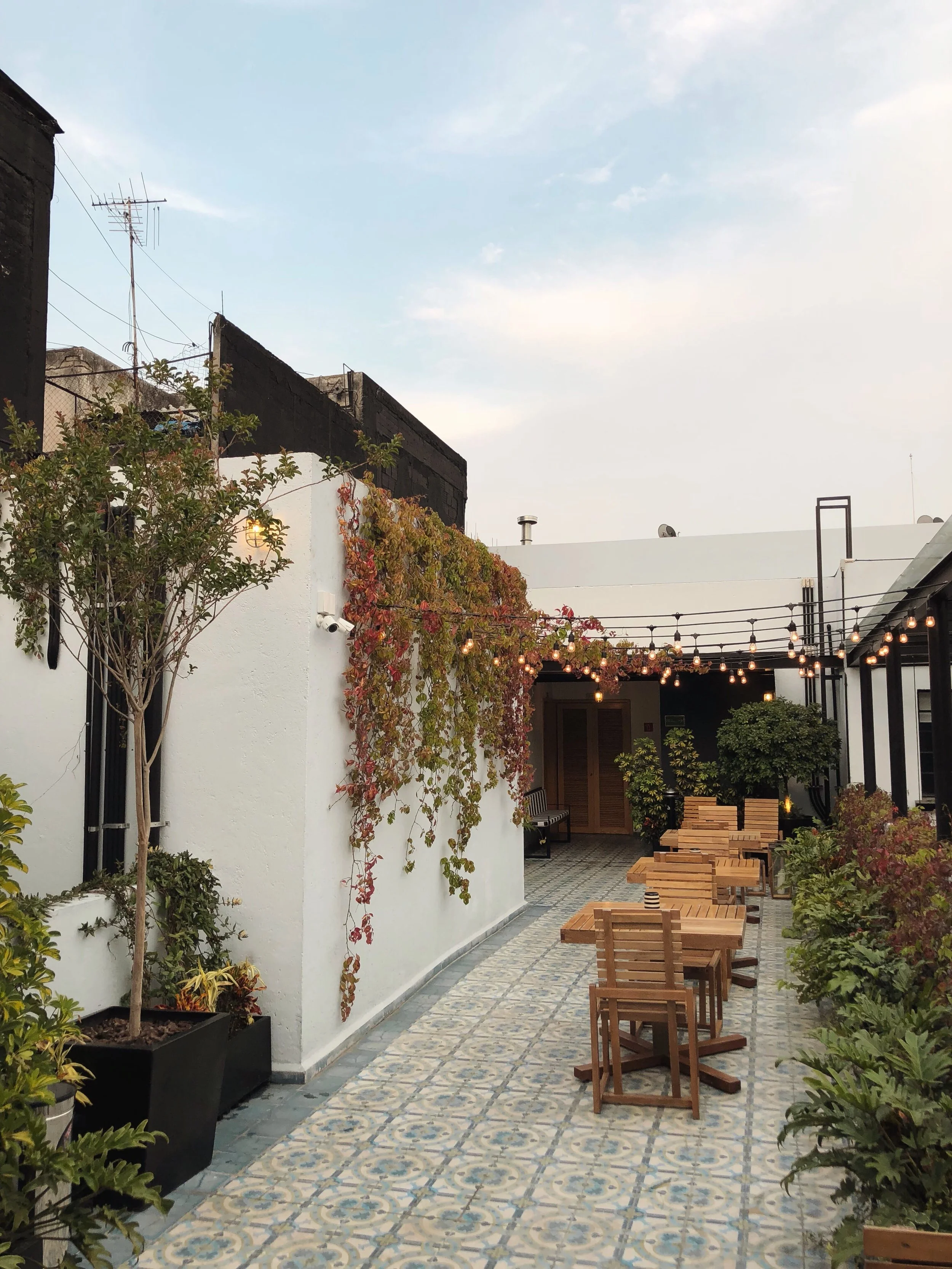 Mexico City Weekender Travel Ideas