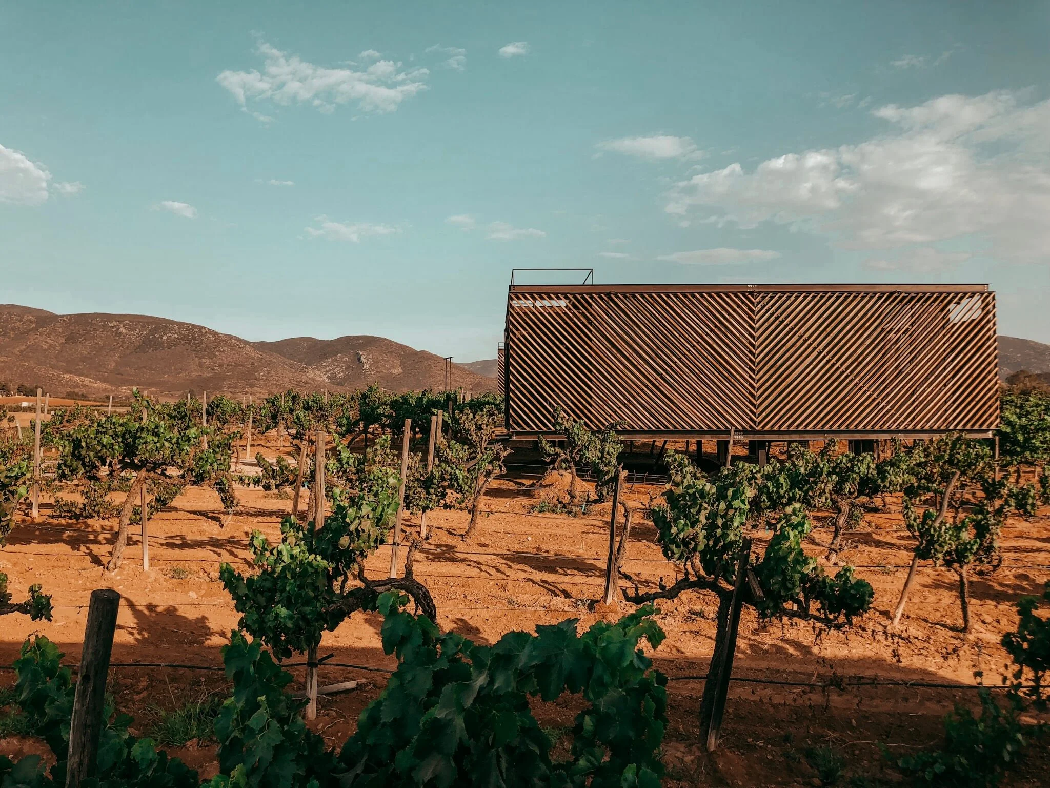 Checking in: Hotel Partana in Valle de Guadalupe [video]