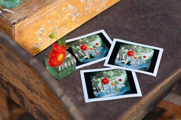 Farm to Table Dinner