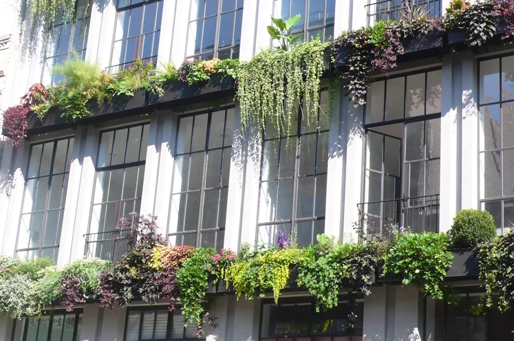 szprojects_flowerbox_05.jpg