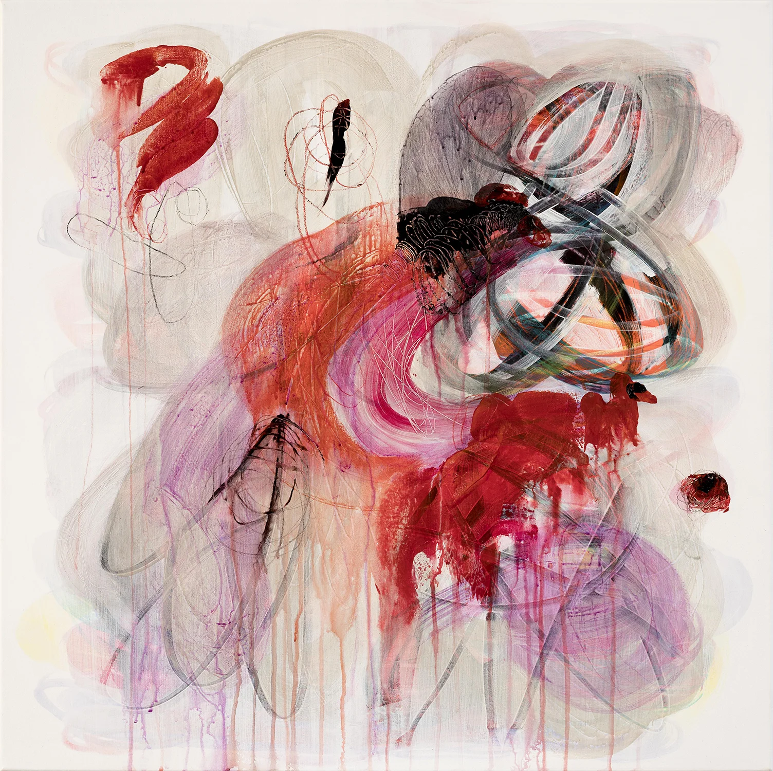 Insight into the fleeting