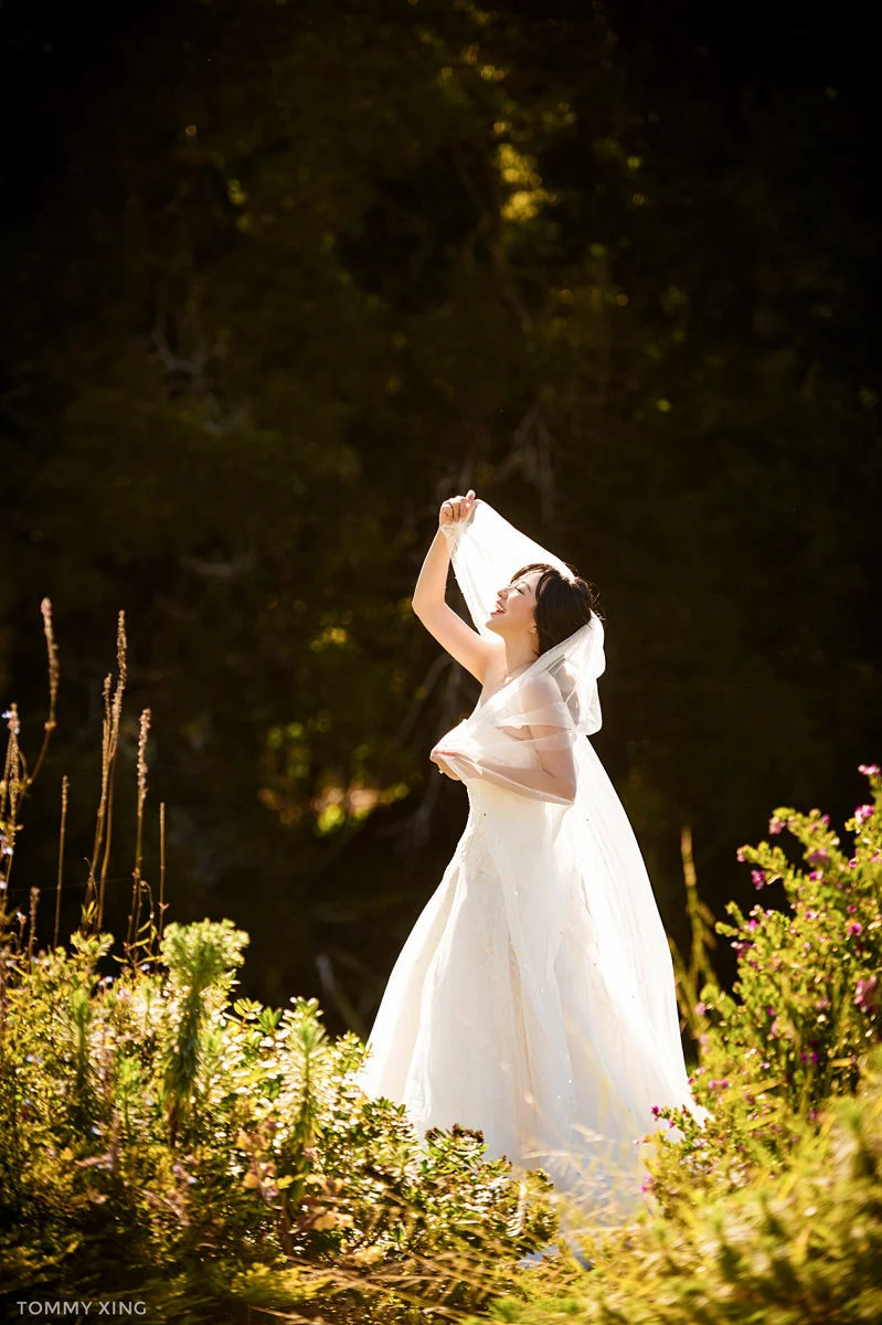 San Francisco bay area pre wedding - 旧金山湾区婚纱照 - Tommy Xing 3.jpg