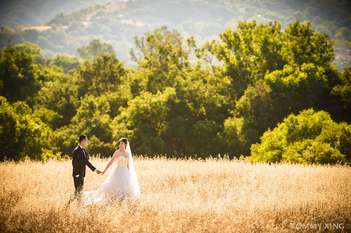 Los Angeles Engagement & pre wedding photography- 洛杉矶婚纱照 - Tommy Xing01.jpg