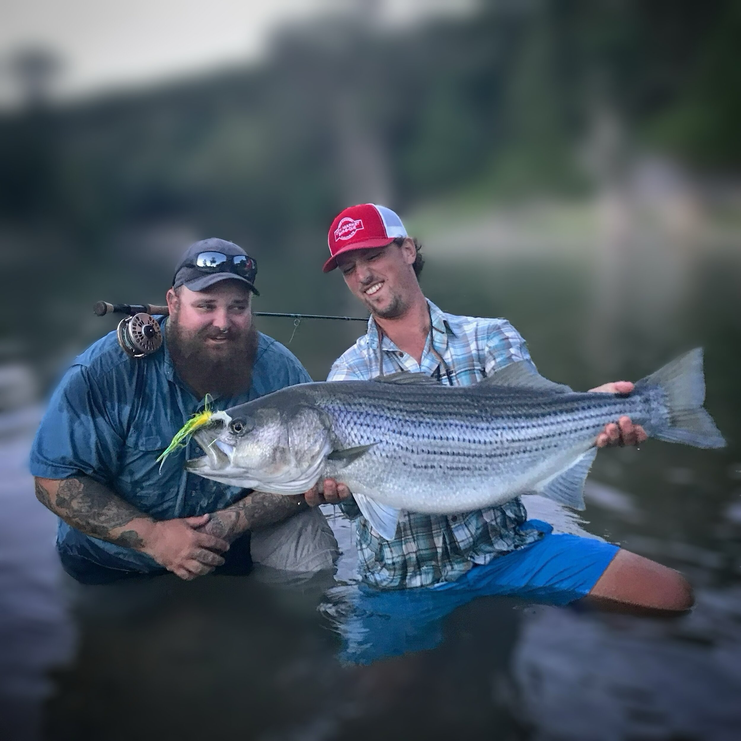 Lone Star Fly Fishing - Guadalupe River Fly Fishing Guide, Texas Hill  Country Fly Fishing Guide, Guadalupe River Trout Fishing