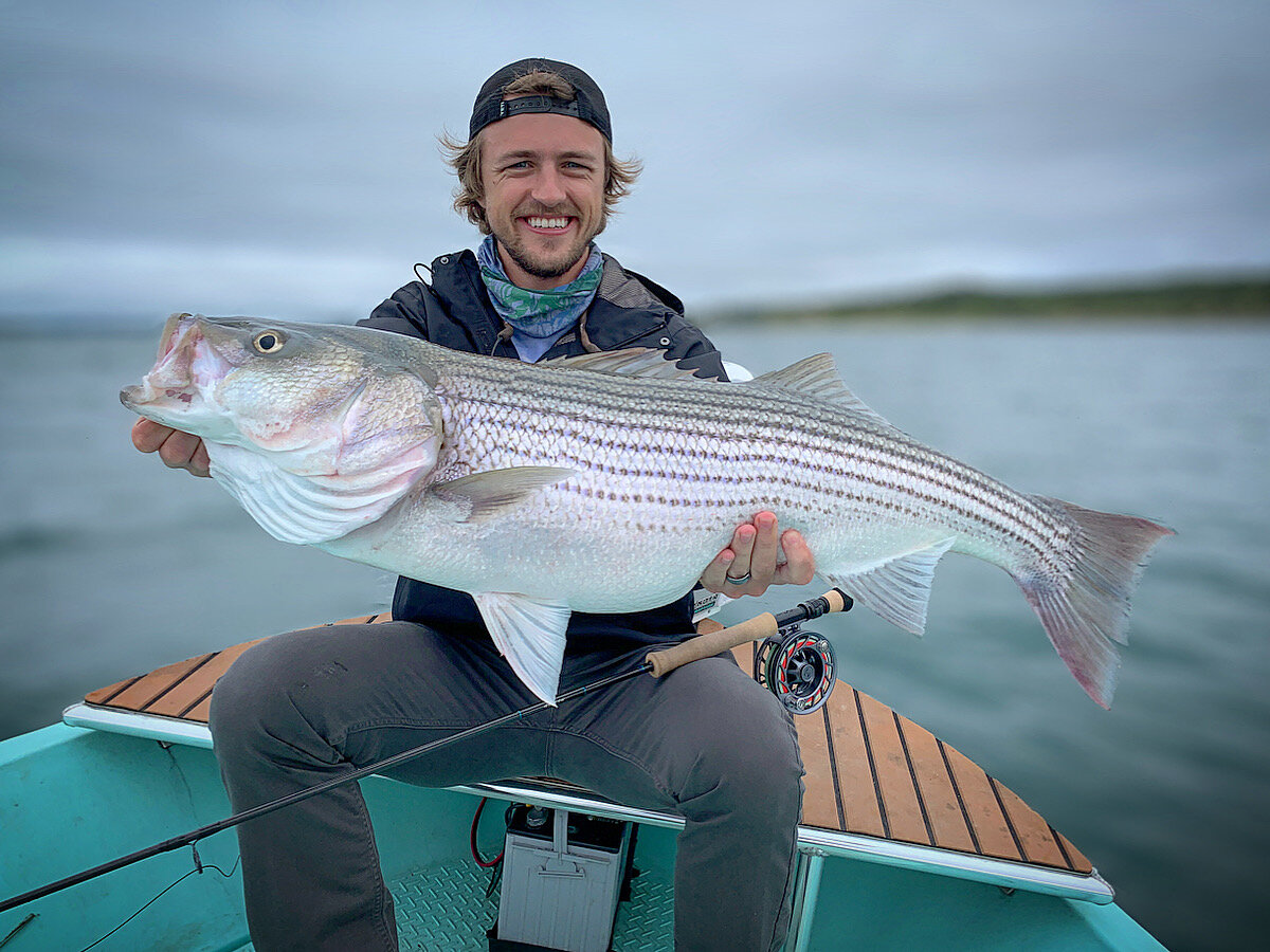 Fly fishing for Striped Bass in Texas
