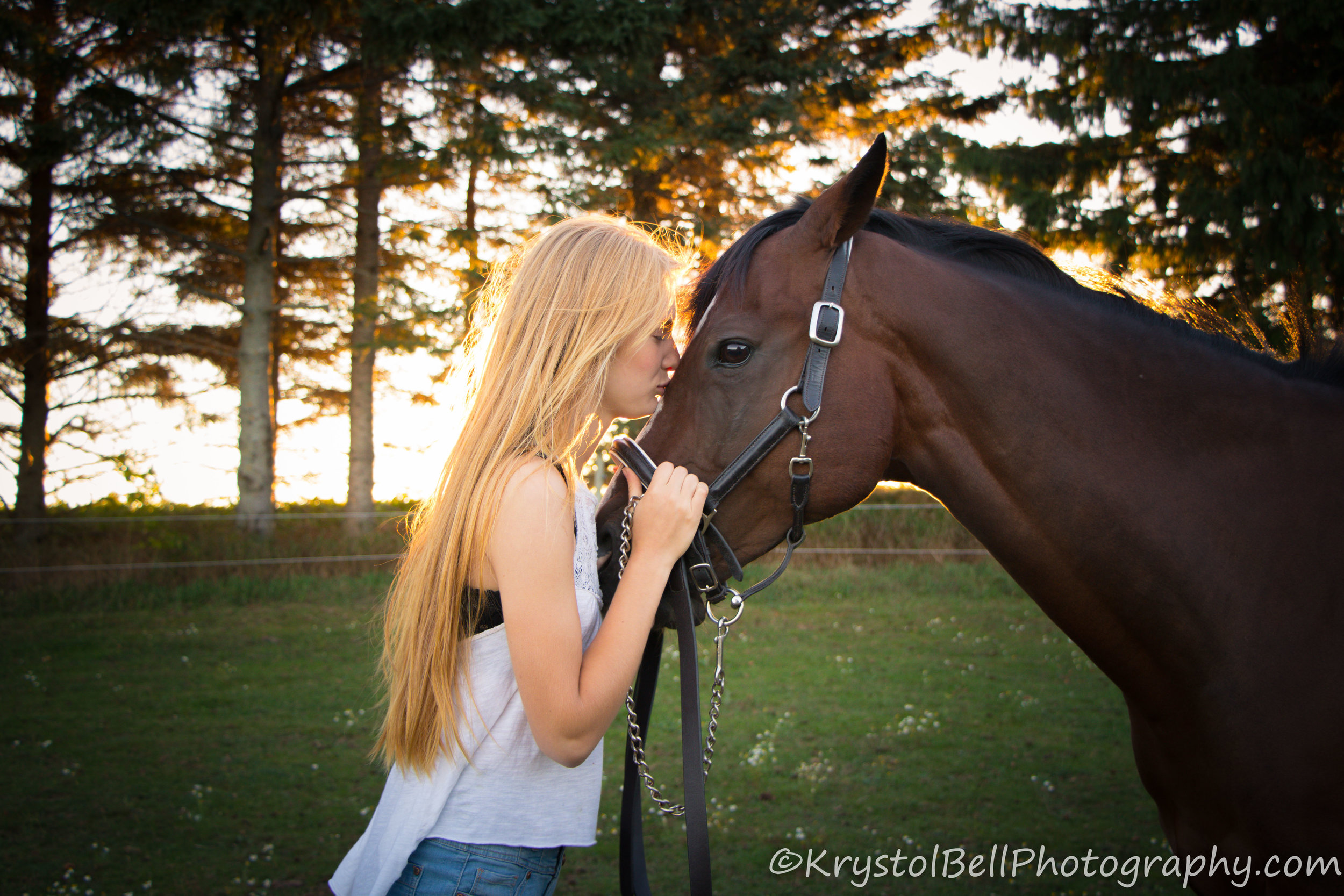 I couldn't decide between the two pictures of Esme and Spurr!