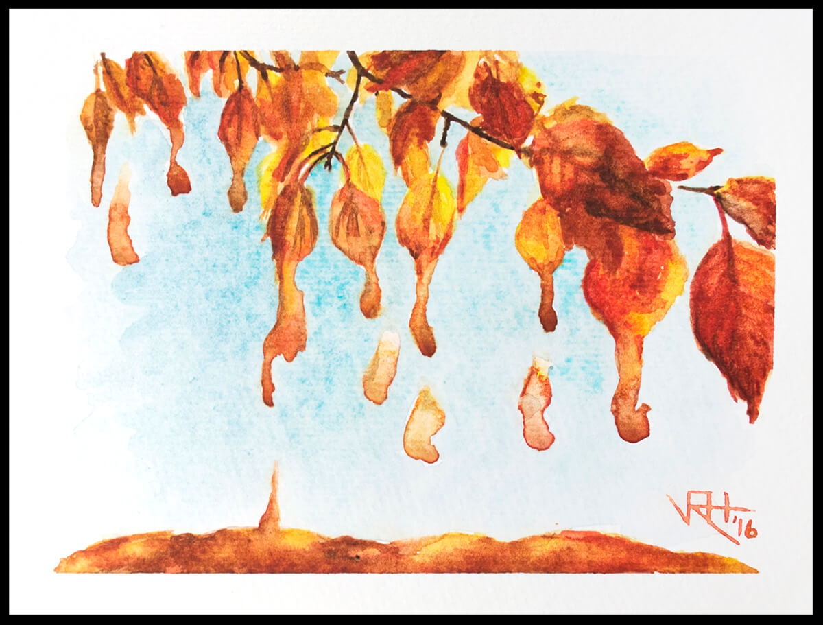 Colors of the Fall