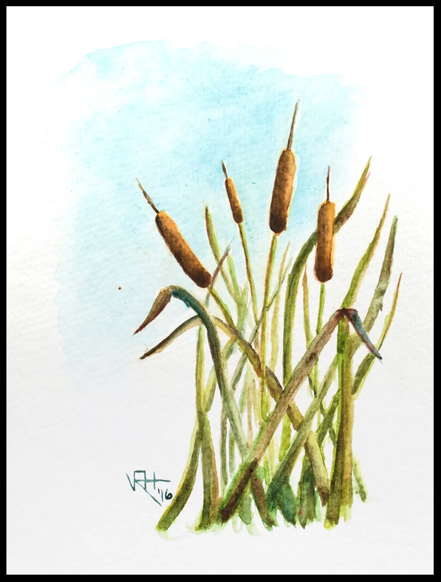 Cattails No. 2