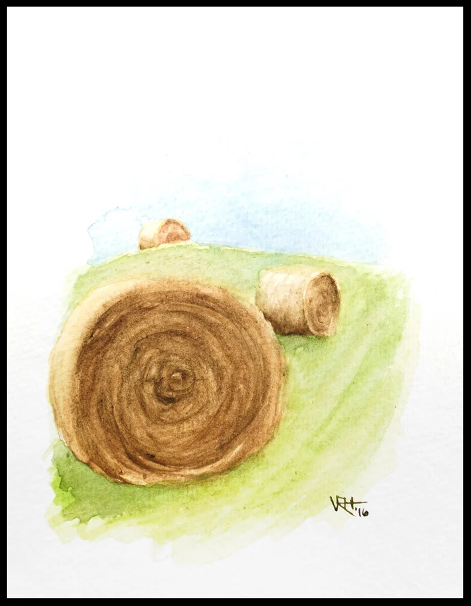 Hay Bales
