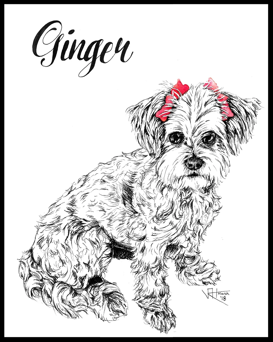 Ginger