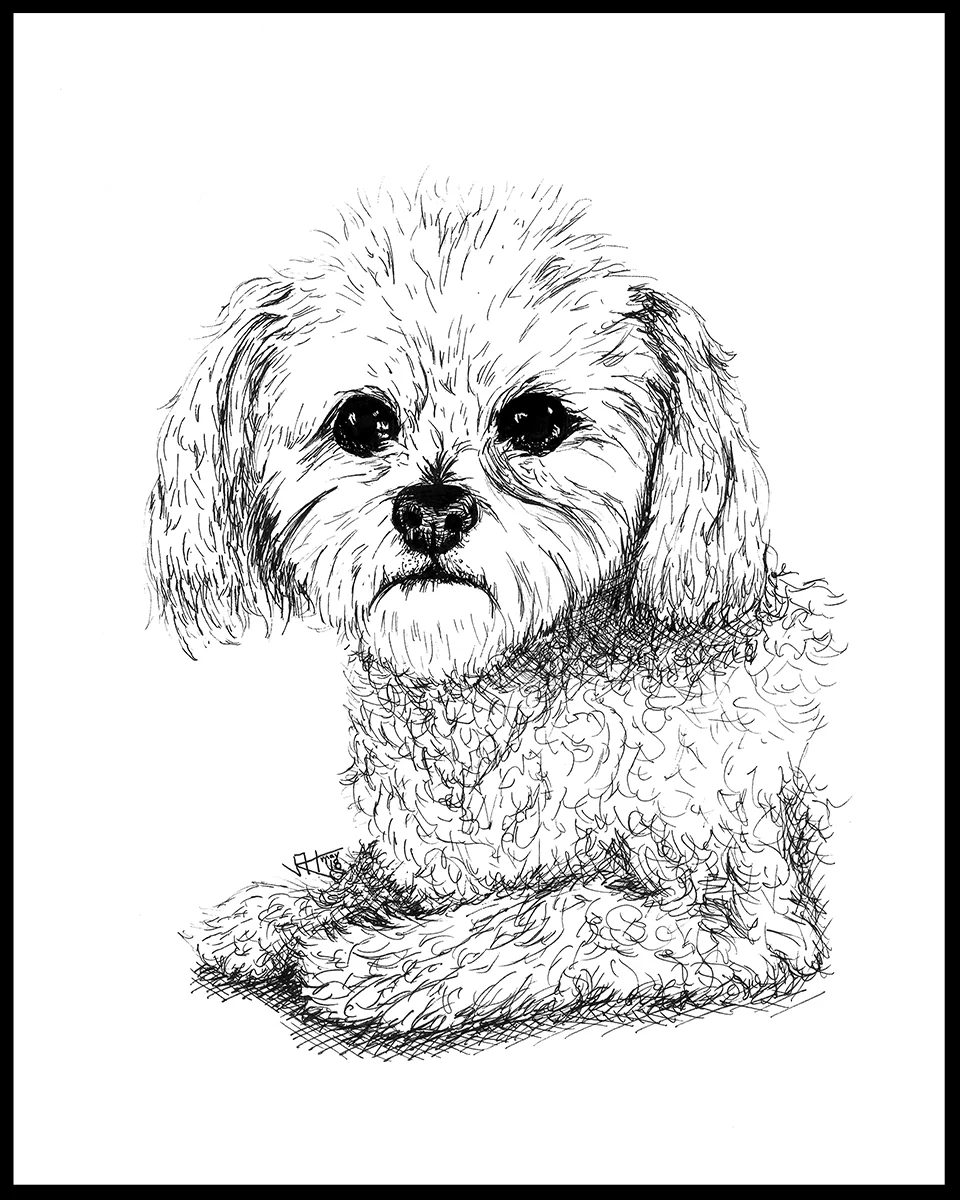 Coco