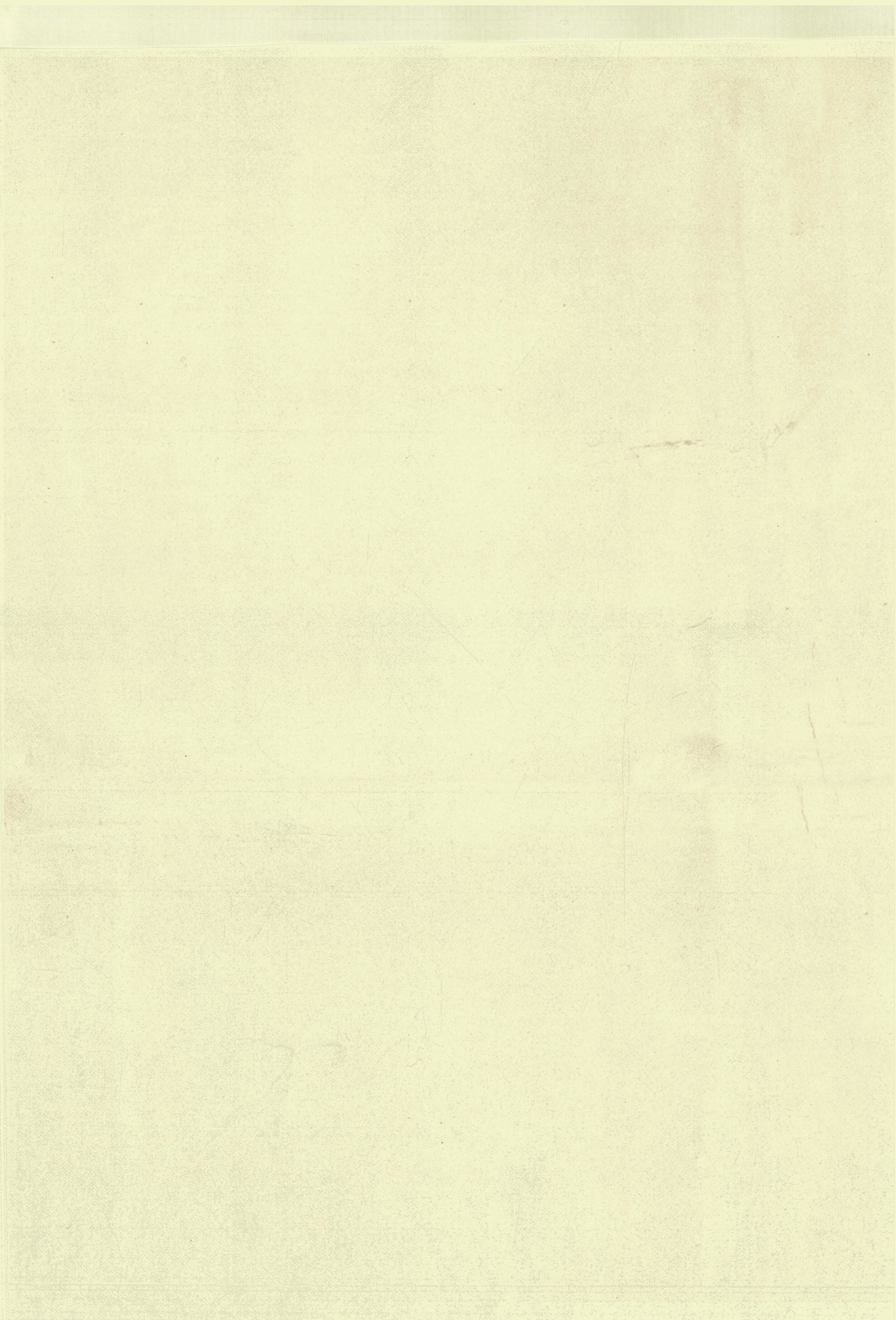 BACKGROUND SUMMERLAND copy 2.jpg