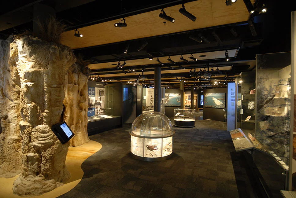 regional gallery.jpg