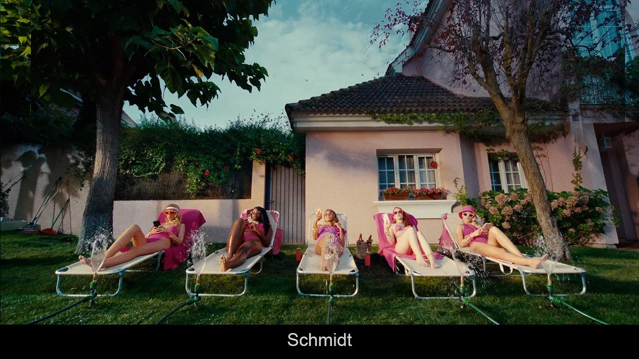 Schmidt_ Unsettling Suburbia