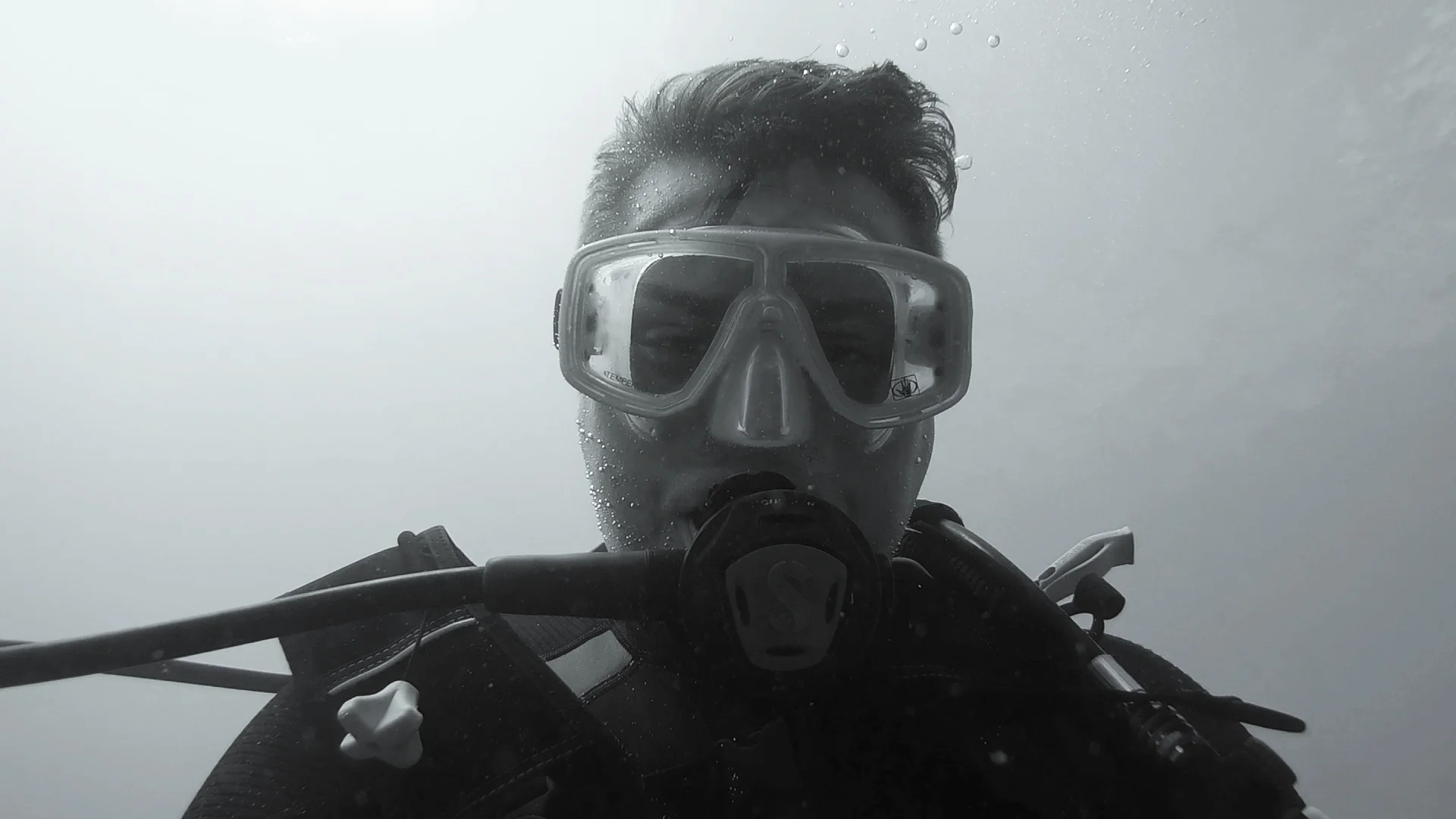 Hi, I'm NIck. Welcome to Saba!