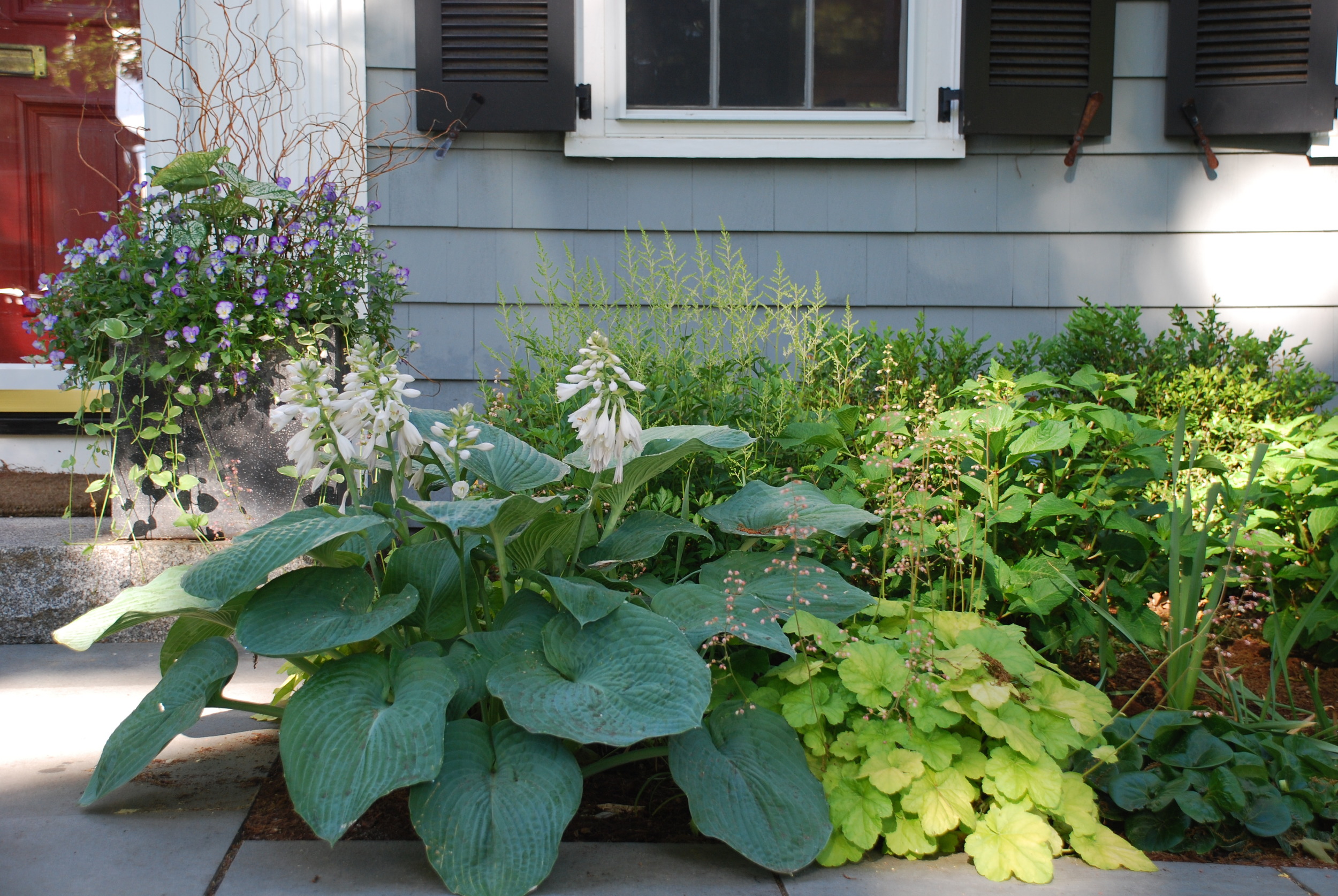 Shade Garden