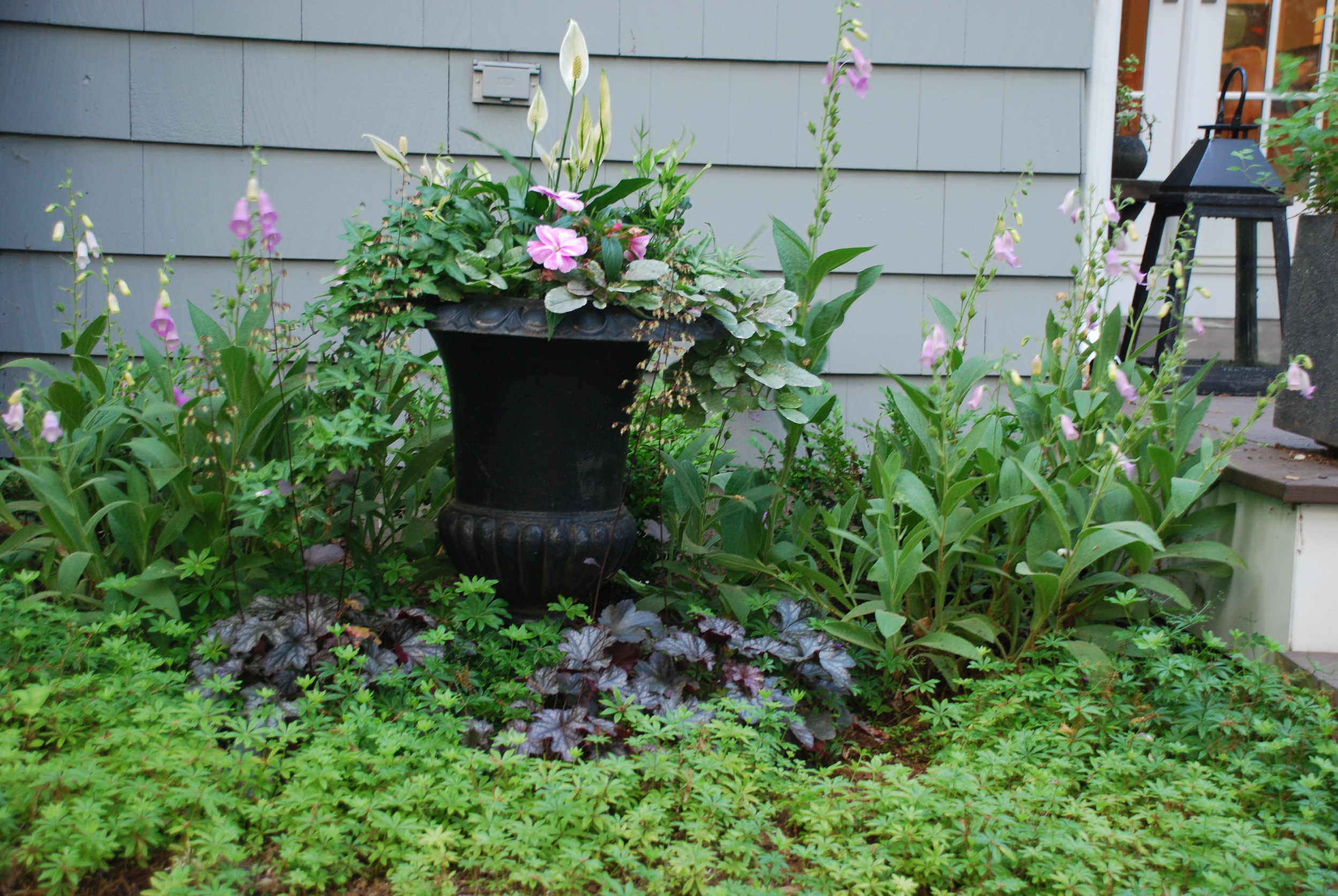 Sunny small garden with digitalis and a decorative urn