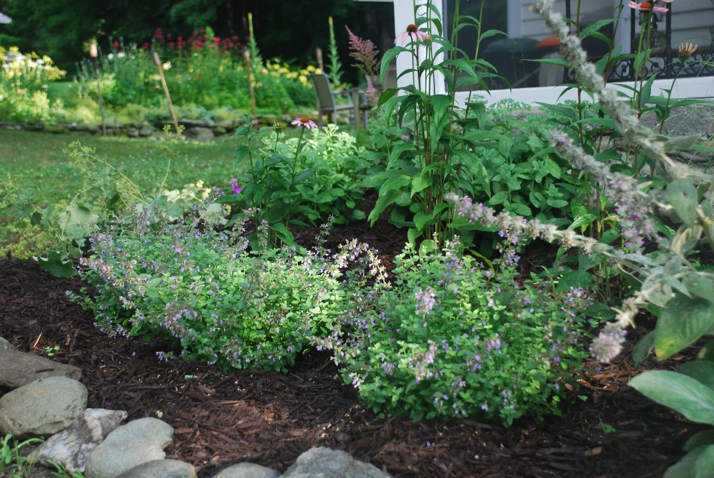   Perennial garden.  