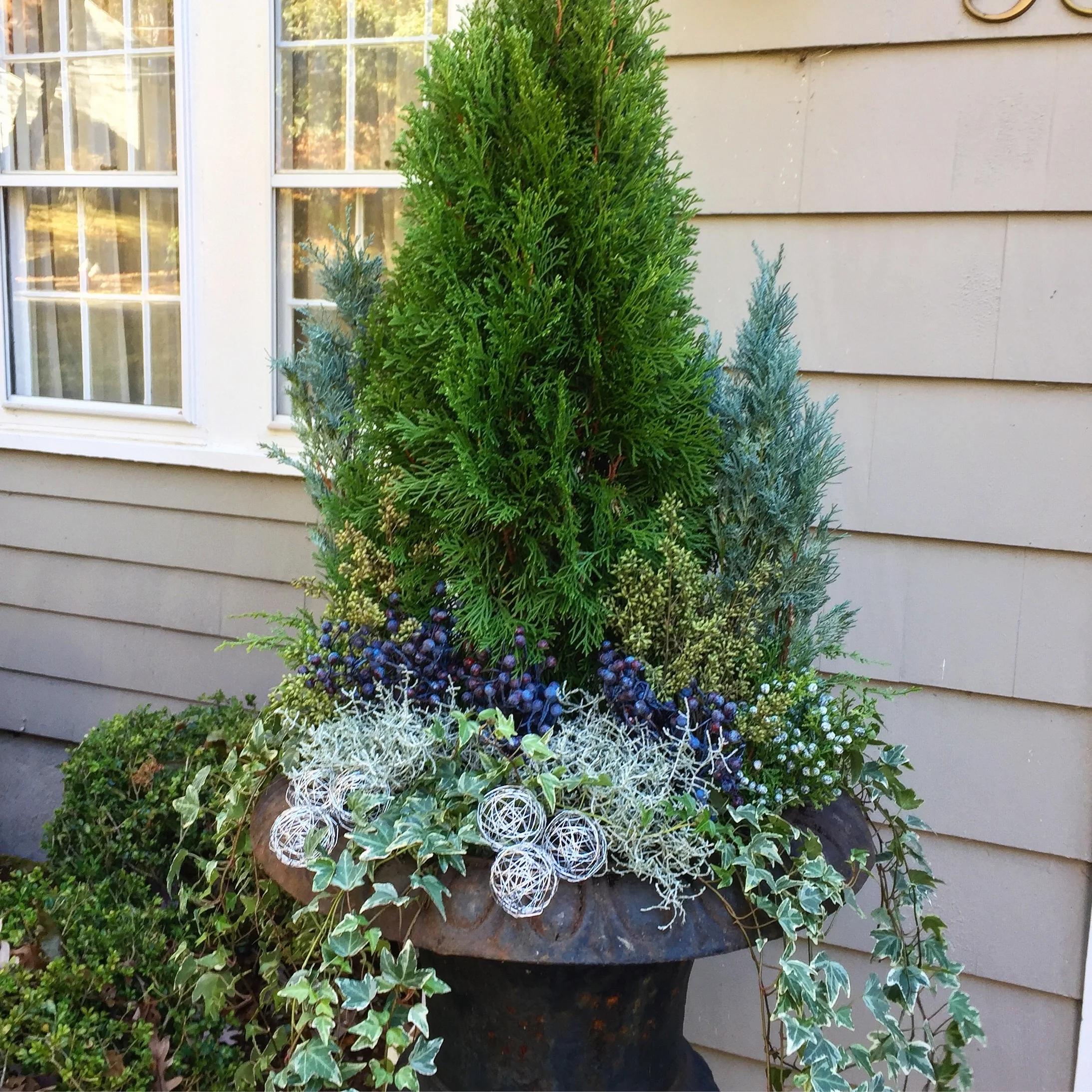 Winter container with berries and evergreens.