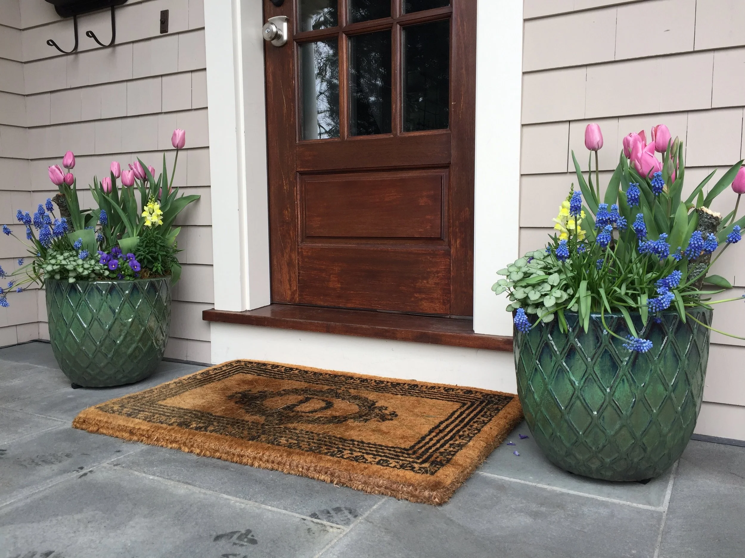 Pair of containers planted with spring bulbs.
